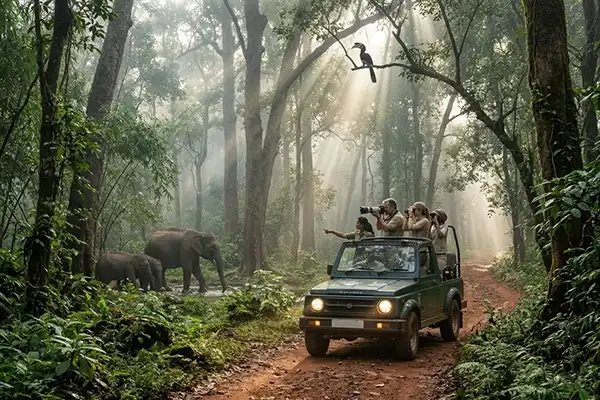 Jungle Safari